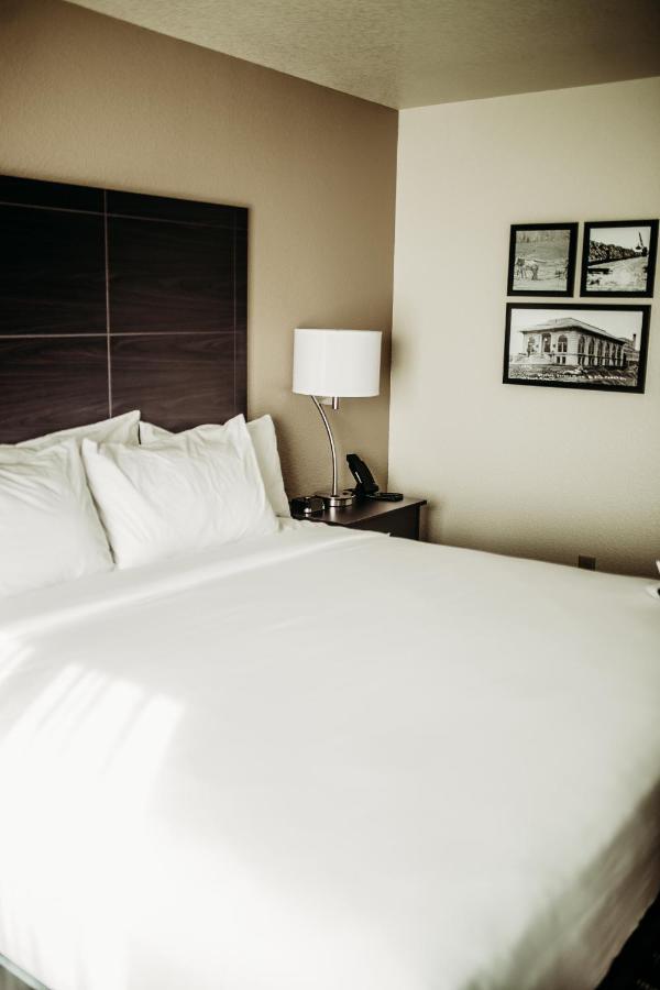 Cobblestone Hotel & Suites International Falls Exteriör bild